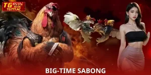 Big-Time Sabong