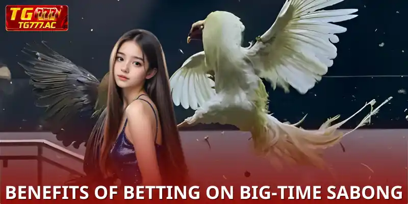 Benefits of Betting on Big-time Sabong Matches