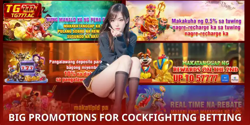 Big Promotions for Cockfighting Betting