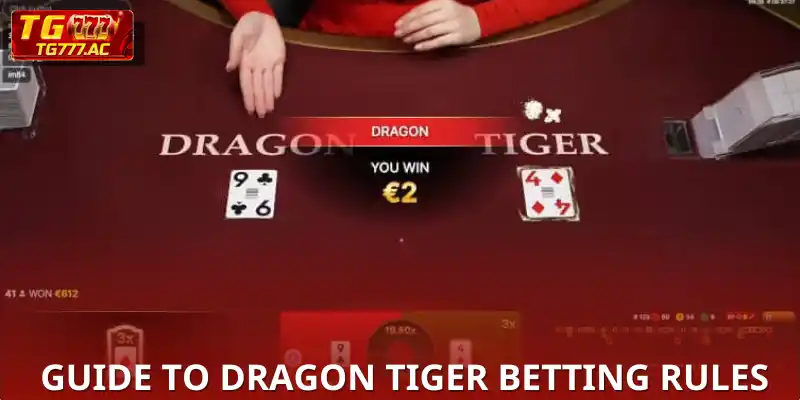 Complete Guide to Dragon Tiger Betting Rules