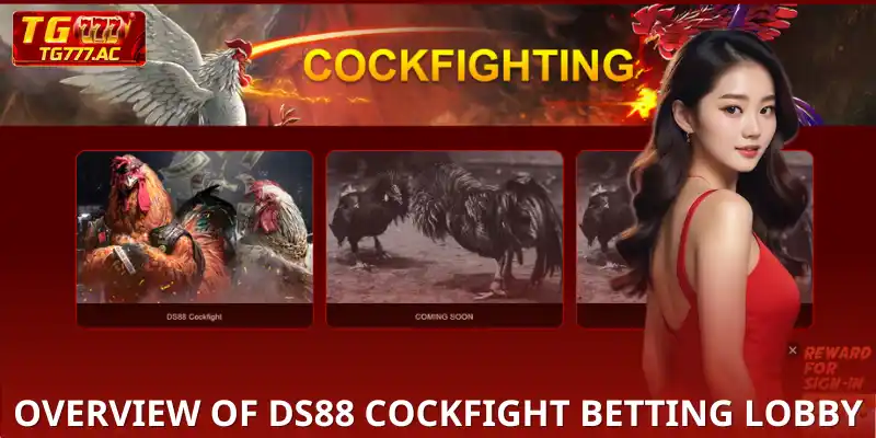 Experience DS88 Cockfight | Watch Hot Online Cockfighting! Overview of DS88 Cockfight Betting Lobby