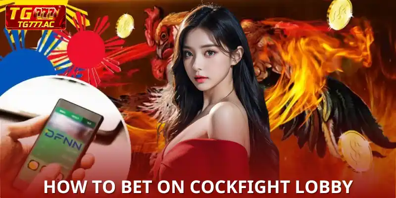 Experience DS88 Cockfight | Watch Hot Online Cockfighting! How to bet on Cockfight lobby