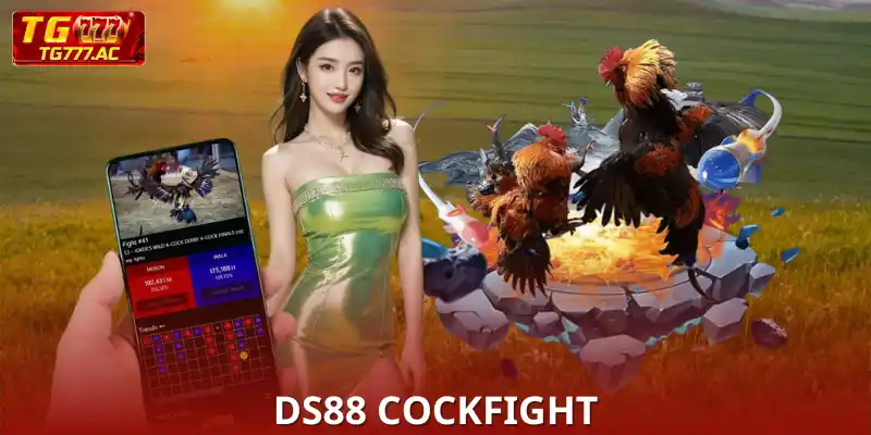 DS88 Cockfight