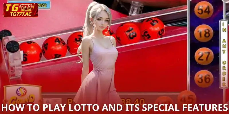 How to Play Lotto and Its Special Features