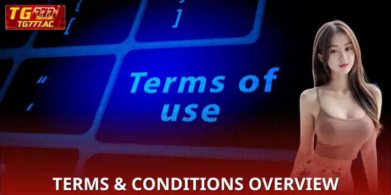 Definition of the Terms & Conditions Policy