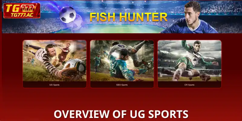 Overview of UG Sports