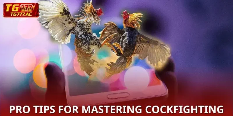 Pro tips for mastering Sabong TG777