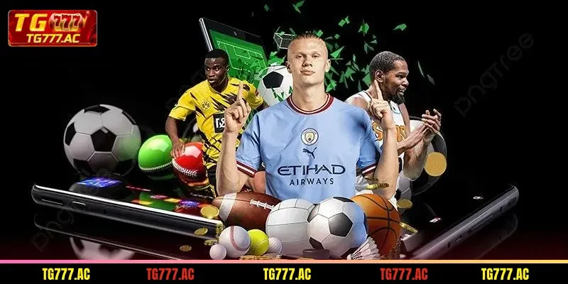 introducing-some-basic-features-of-the-ug-sports-hall