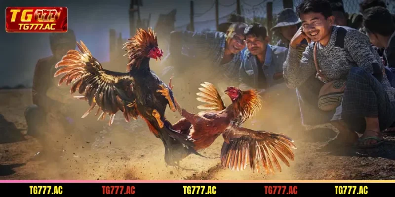 the-ws168-lobby-operates-transparently